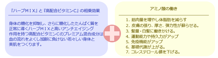 �n�[�u�l�h�w�ƍ��z���r�^�~���b�̑�����ʁ{�A�~�m�_